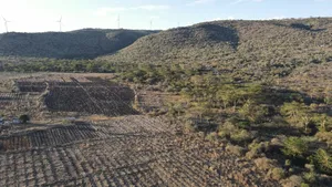 20 Acres Kipeto at Per Acre