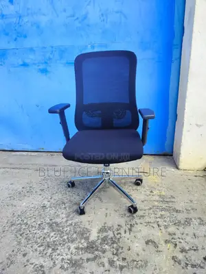 Ergonomic Office Chair