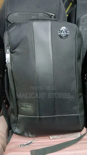 Biao Wang 15.6 Waterproof Anti Theft Large Capacity Travel Backpack