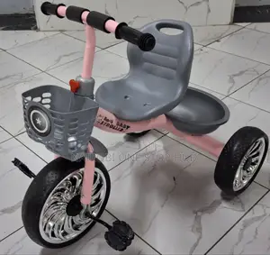 Kids Adjustable Tricycle