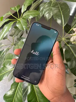 Apple iPhone 13 Pro Max 512 GB Blue
