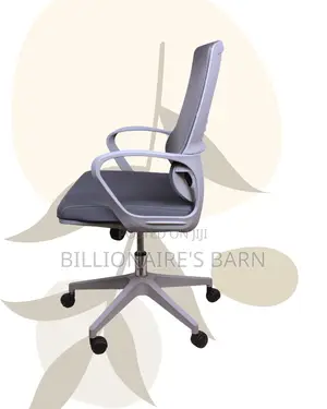 Executive Chair Ergonomic Comfy Grey | Same-Day Delivery Available