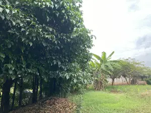 Plot for Sale