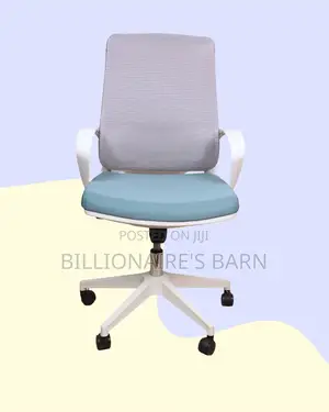 Modern for Hours Support Back Mesh Chair | Best Deal Online