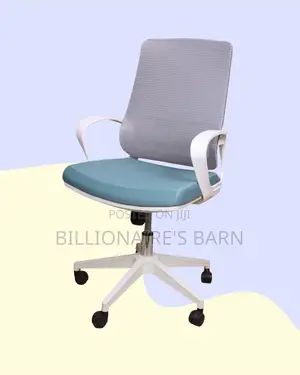 Modern for Hours Support Back Mesh Chair | Best Deal Online