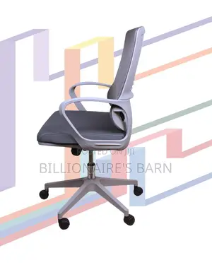Swivel Imported Compact Ergonomic Grey Fits | Order Yours Today