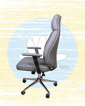 Home Office #297 Office Executive Chair | Order Yours Today