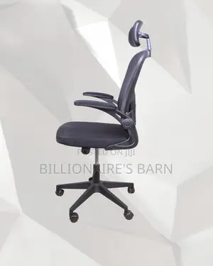 Ergonomic Adjustable High-Back Ergonomic Chair | Comfort Meets Style