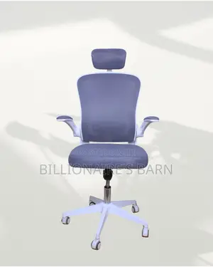 Quality Ergonomic Seller Chair Fast | Comfort Meets Style
