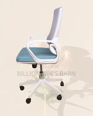 Pro Backrest Office Mesh Ergonomic | Same-Day Delivery Available