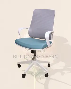 Pro Backrest Office Mesh Ergonomic | Same-Day Delivery Available
