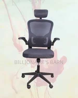 Space-Saving | Armrests Ergonomic Chair | Order Yours Today