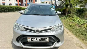 Toyota Axio 2017 Silver