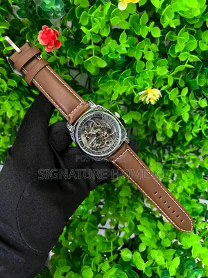Forsinning Automatic Watch