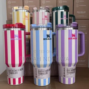 Summer Oasis Stanley Mugs