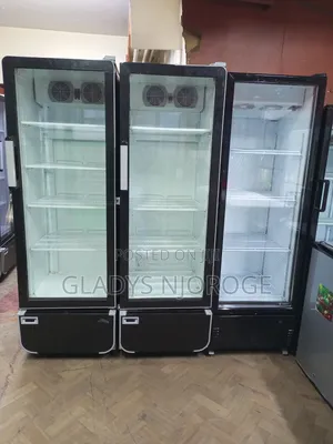 High Performance Chiller (400l Fregolex)