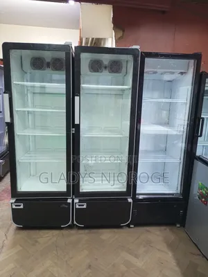High Performance Chiller (400l Fregolex)
