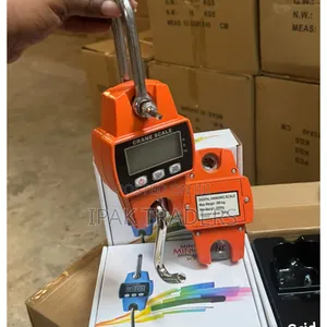Mini Crane Max Weight 300kg
