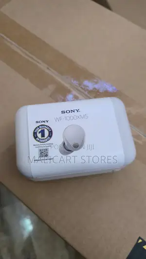 Sony Wf-1000xm5 Wireless Noise Cancelling Earbuds