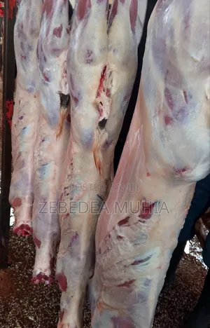 Meat Supplier Kifaru 001