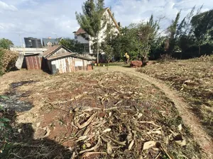 Large Eighth (65*100) Acre Red Soil Plot for Sale in Kerarapon Drive