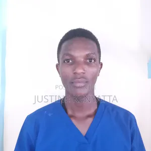 Occupational Therapist