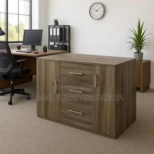 Office/Home Storage Credenza