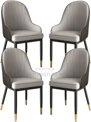 Modern Home Dinning Chair
