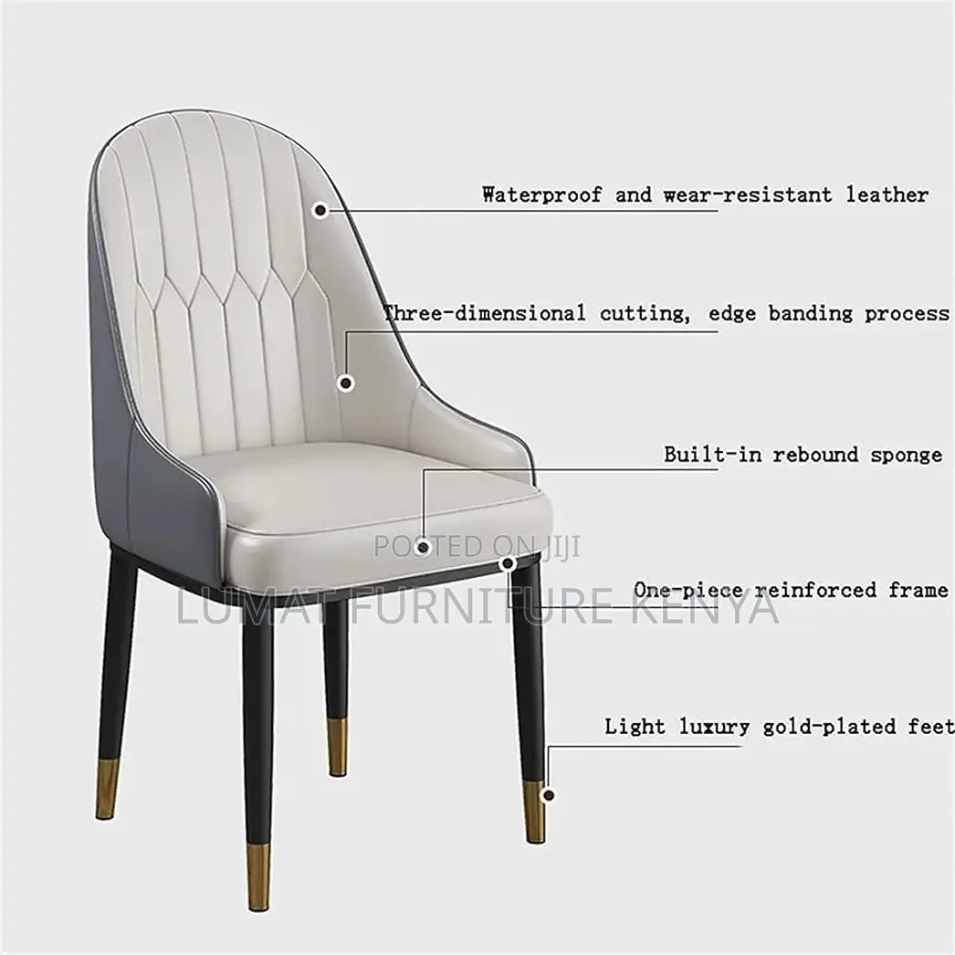 Modern Home Dinning Chair