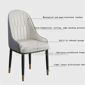 Modern Home Dinning Chair