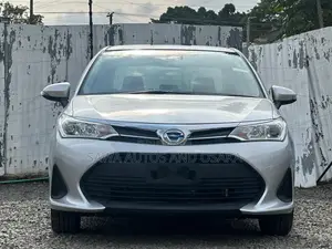 Toyota Axio 2019 Silver