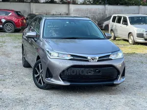 Toyota Axio 2019 Gray