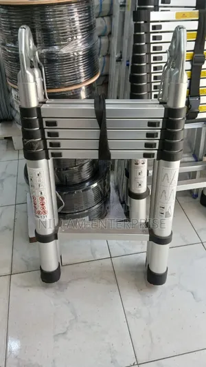 3.3+3.3 Double Telescopic Ladder