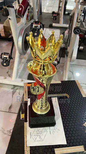 Premium Award Trophies for Events