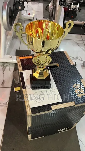  Corporate Recognition Trophy Awards