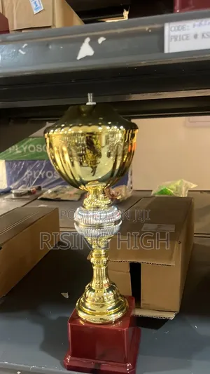  Affordable Trophy Awards – Fast Delivery