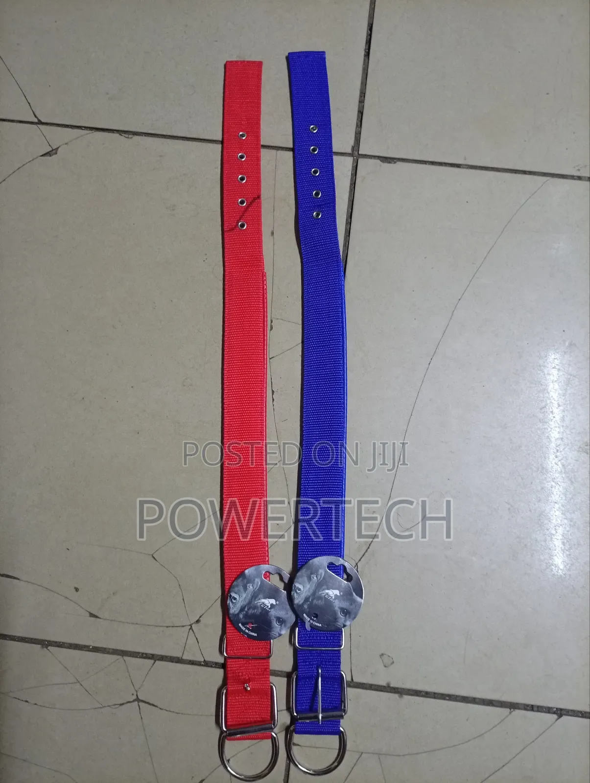 Dog Collar