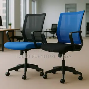 Everyday Work Desk Chair