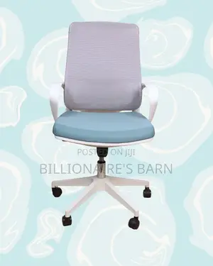 Home Office Mesh Backrest Ergonomic — | Top Seller in Kenya