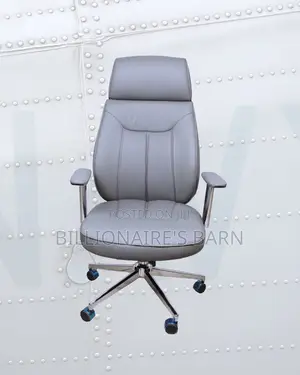 Stylish Ergonomic Mesh Backrest Office | Order Yours Today