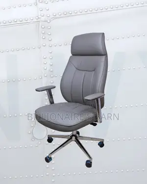 Stylish Ergonomic Mesh Backrest Office | Order Yours Today