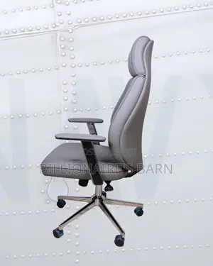 Stylish Ergonomic Mesh Backrest Office | Order Yours Today