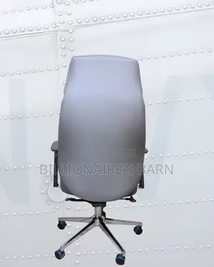 Stylish Ergonomic Mesh Backrest Office | Order Yours Today