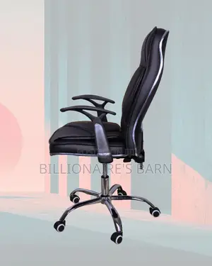Adjustable Executive Mobility Chair — | Order Yours Today