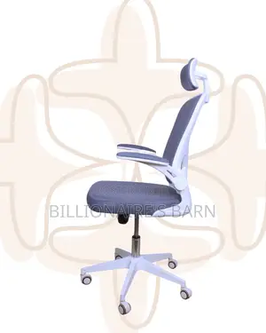 Ergonomic Quiet-Roll Chair for Office Back | Nairobi Delivery