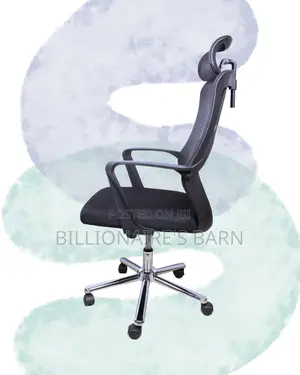 Stylish Posture Back Chair Breathable | Same-Day Delivery Available