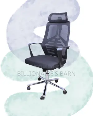 Stylish Posture Back Chair Breathable | Same-Day Delivery Available