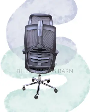Stylish Posture Back Chair Breathable | Same-Day Delivery Available