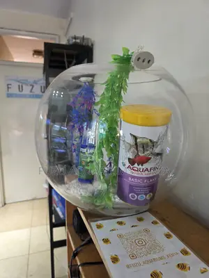 12l Fish Bowl – Simple, Stylish, Serene