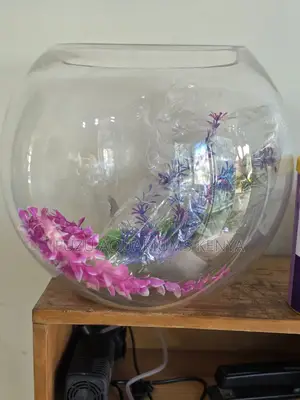 Crystal Clear 12l Big Fish Bowl for Home or Office